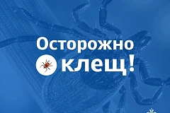 Безопасность выходного дня: отдых на природе 